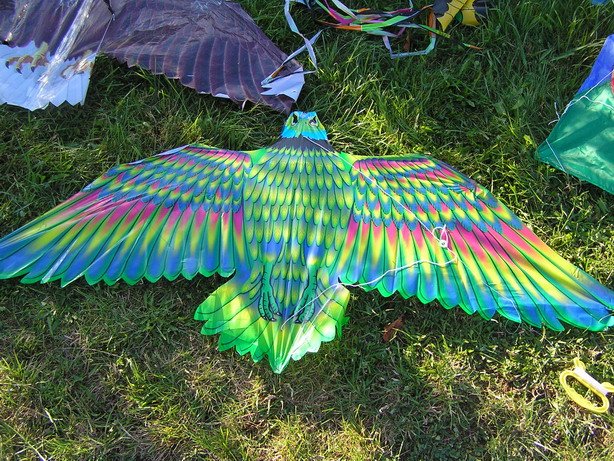 pa150066_resize